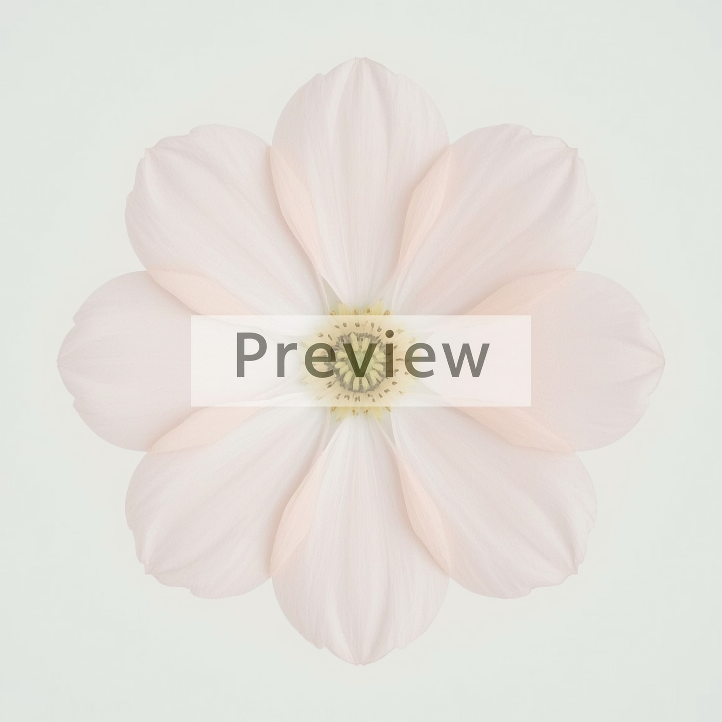 Eternal Blossom - Image 4