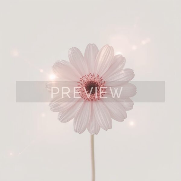 Eternal Blossom - Image 3