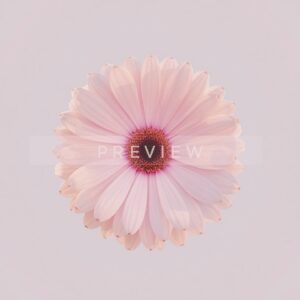 Eternal Blossom