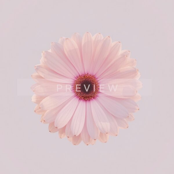 Eternal Blossom