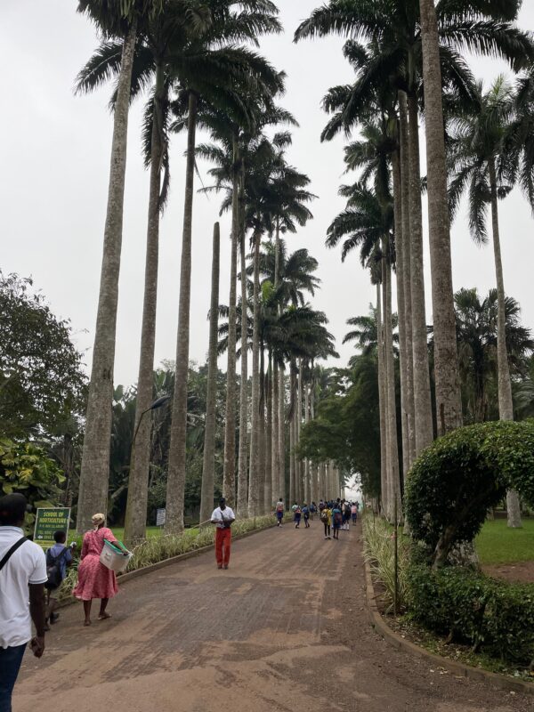 1-Month Itinerary: Comprehensive Ghana Tour - Image 3