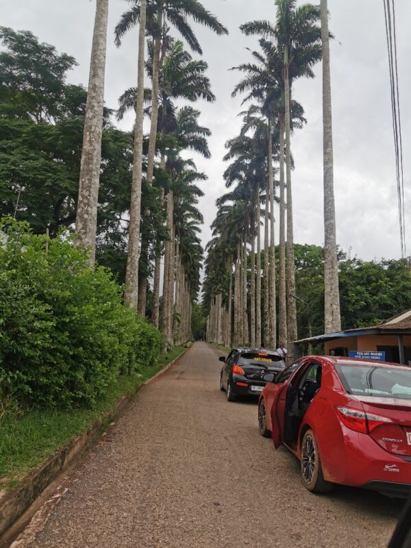 1-Month Itinerary: Comprehensive Ghana Tour - Image 15