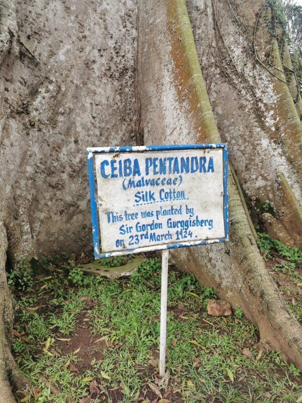 1-Month Itinerary: Comprehensive Ghana Tour - Image 16