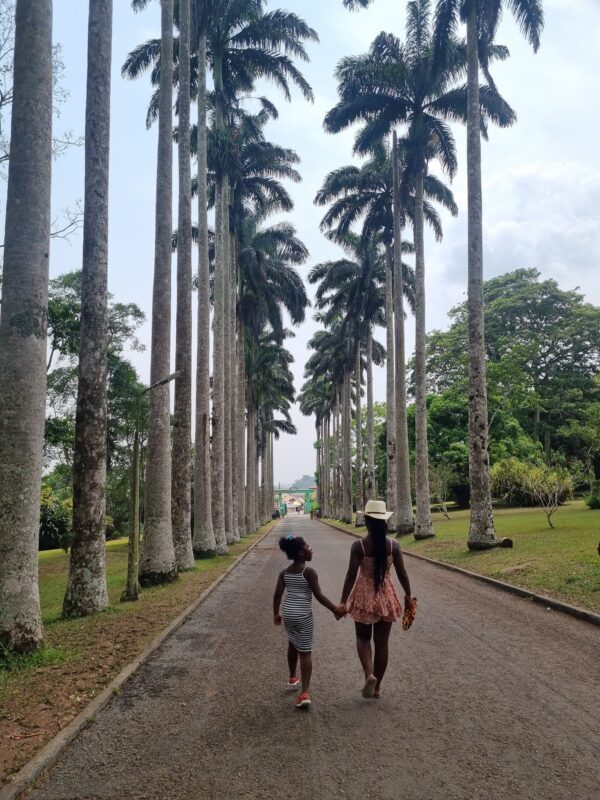 1-Month Itinerary: Comprehensive Ghana Tour - Image 5